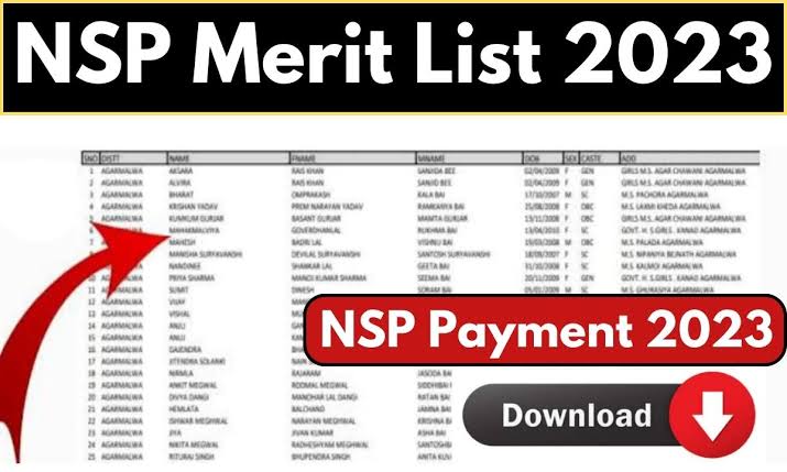 NSP 2023 Merit List PDF